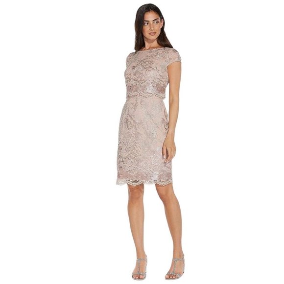 NWT Adrianna Papell Dusty Rose Embroidered Lace Popover Dress Size 2 NEW - Picture 13 of 15